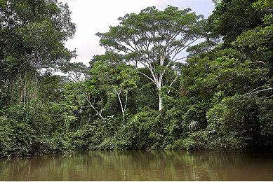 《浩劫前夕》商标注册者确认：正采取措施保护权益